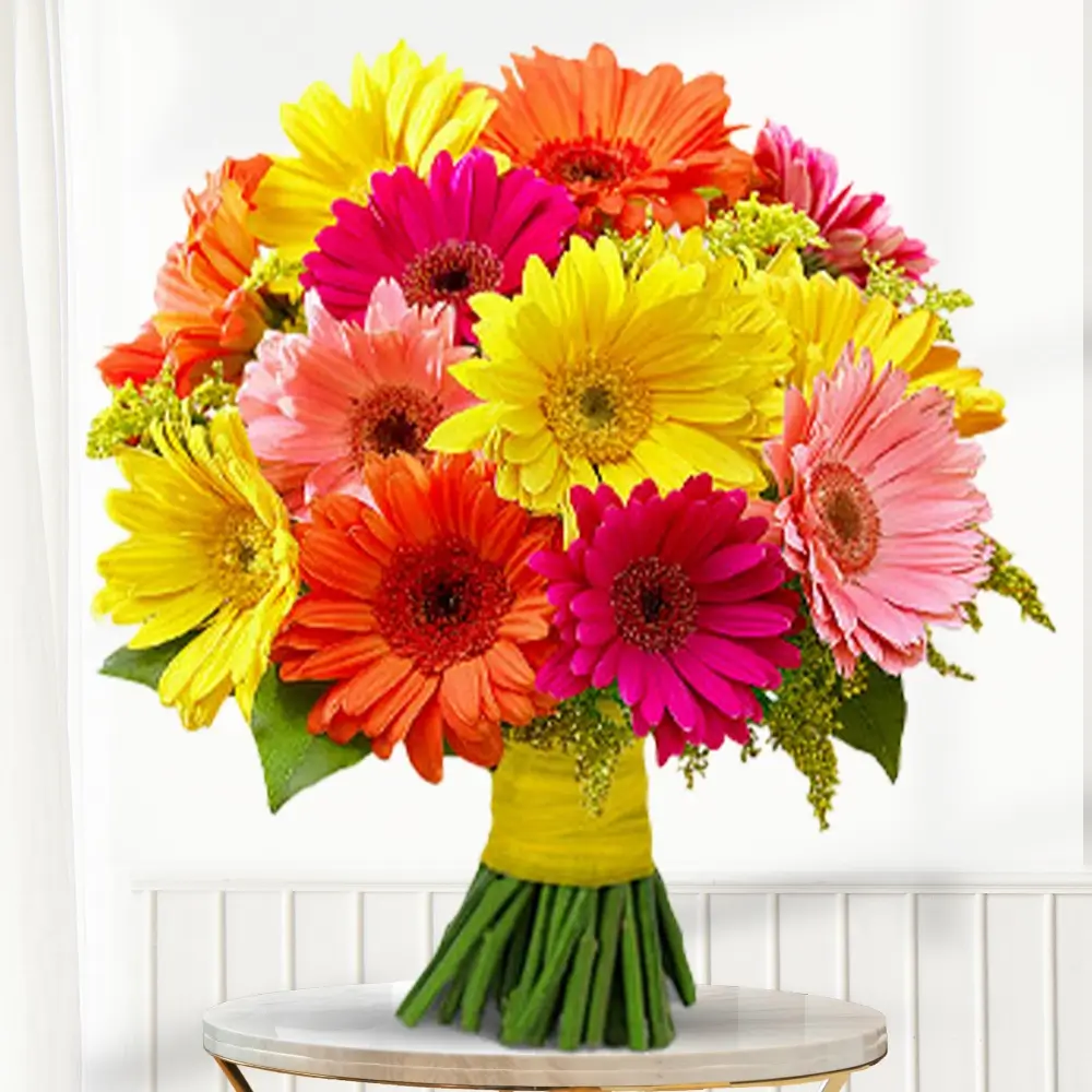 Gerberas