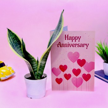 Peaceful Anniversary Combo