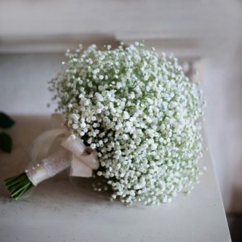 Baby Breath Bouquet