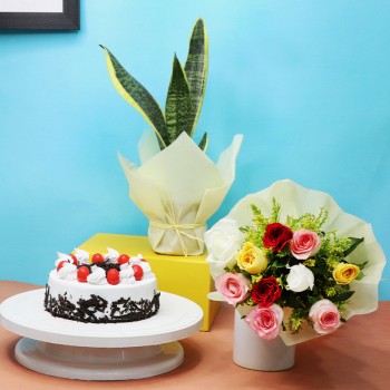 Snake Plant with Cake and Roses