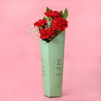 Red Carnation Sleeve Arrangement